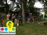 Détente Animal