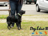 Dog Éduc 18
