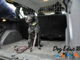 Dog Éduc 18