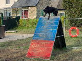 Lab & Compagnie