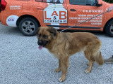 Lab & Compagnie