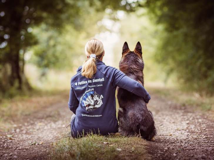 4 Pattes En Éventail