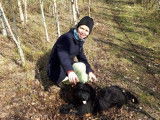 #joie#chien#vie#exterieur#