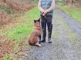 Centre Canin Thomas Cormier