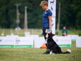 ObéDog-Coaching