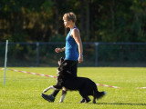 ObéDog-Coaching