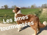 Des Ames Tourmentées