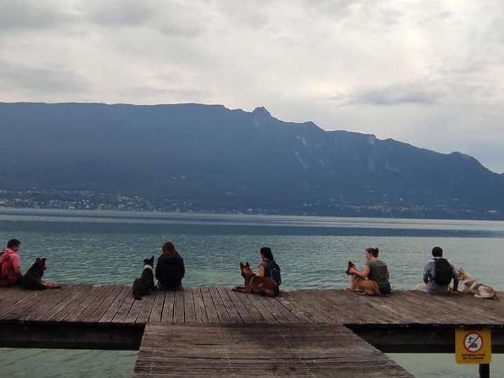 Savoie Dog'Educ