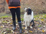 Savoie Dog'Educ
