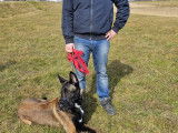Savoie Dog'Educ