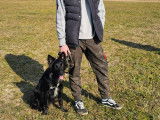Savoie Dog'Educ