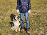 Savoie Dog'Educ