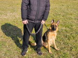 Savoie Dog'Educ