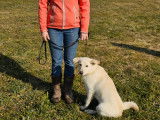 Savoie Dog'Educ