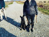 Savoie Dog'Educ