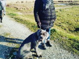 Savoie Dog'Educ