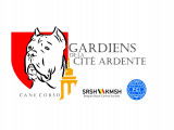 Gardiens de la cité ardente