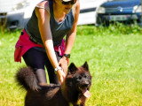 Au tour de mon chien