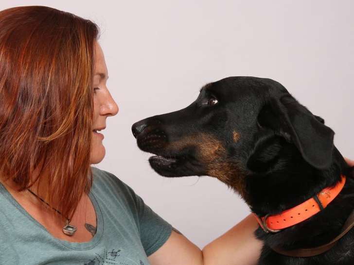 Centre canin du Bois du Saüt