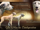 Du Mas De Canteperdrix
