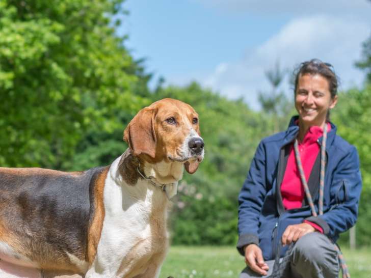Chiens Des Ducs
