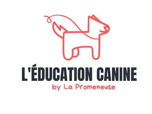 Educatrice canine et comportementaliste à Castres