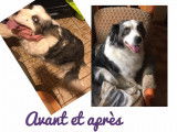 Maya avant et après son bain