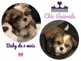Même les tous petits y trouvent leur place