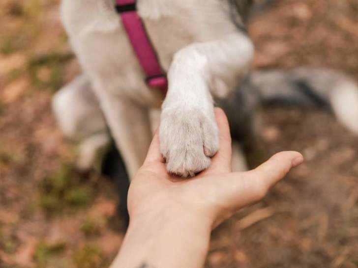 Centre Can'ain et Fél'ain