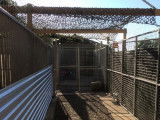 Dog's Kennel