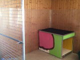 Dog's Kennel