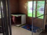 Dog's Kennel