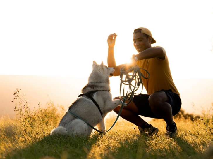 Ton chien et toi