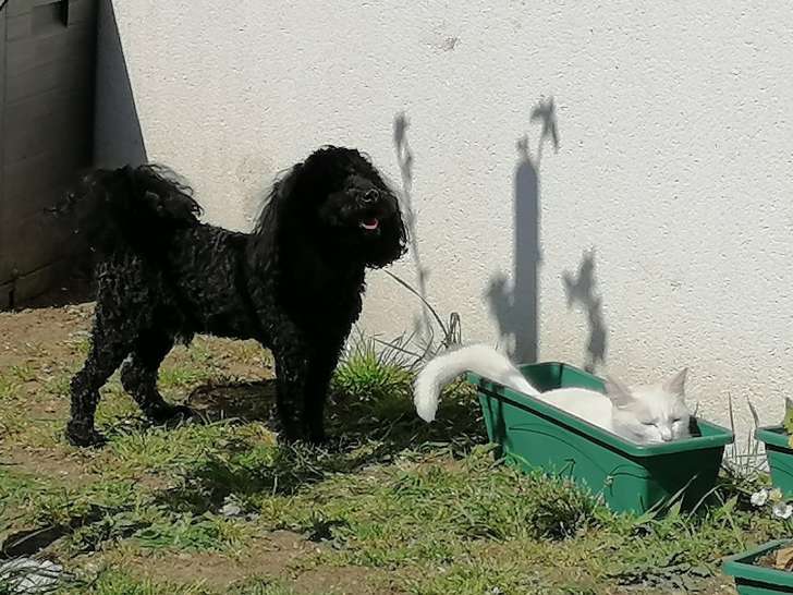 O'canizen