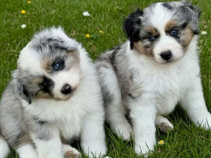 Lovely and Liberty Cottage