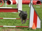 Sport Loisir Can'Ain
