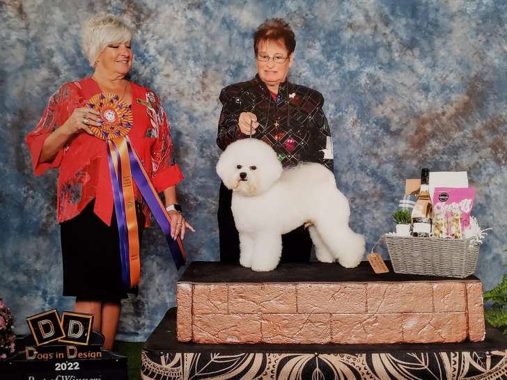 Bichon Frise Club Of Canada