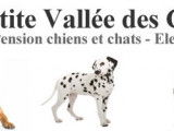 De La Petite Vallée Des Chiens