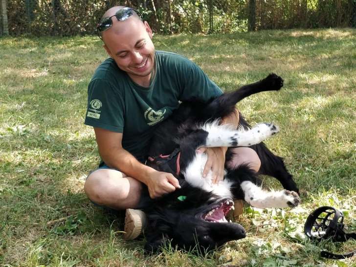 C'est Plus Canin & Cie