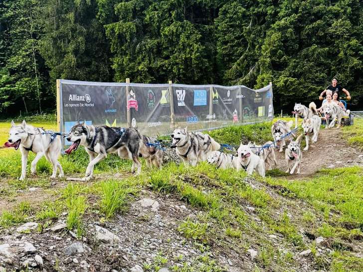 Alpes'Huskies