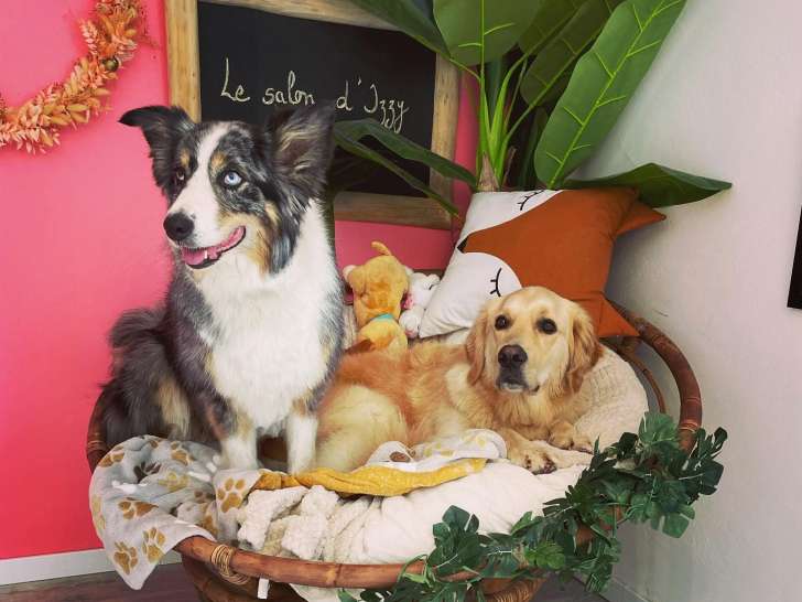 Lassie et Mikky attendent leur tour