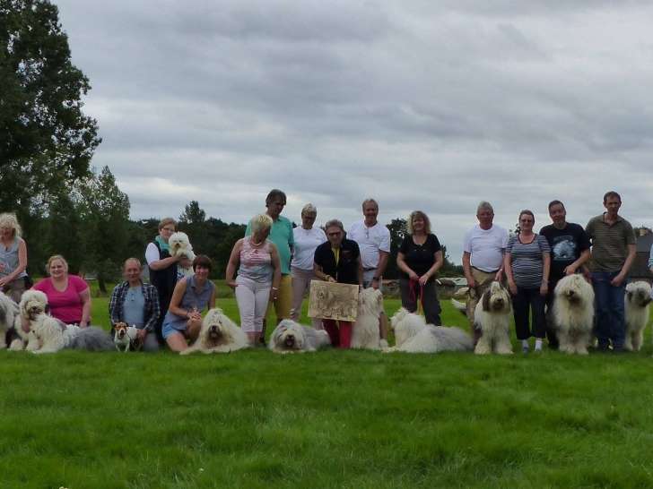 Belgian Old English Sheepdog Club (BOESC)