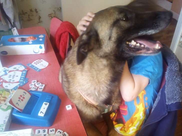 In Dog We Trust