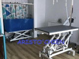 Aristo'chien