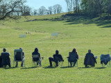 Association Française du Border Collie (AFBC)