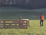 Association Française du Border Collie (AFBC)