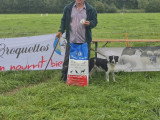 Association Française du Border Collie (AFBC)