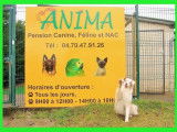 Anima