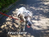 Educ'canin