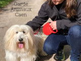 Garde Animaux Caen